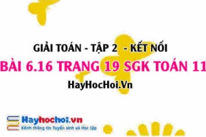 Bài 6.16 trang 19 Toán 11 tập 2 Kết nối tri thức